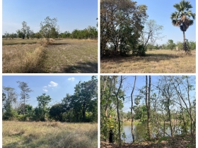 ขายที่ดิน ห่างเมืองเก่าสุโขทัย 10 กิโลเมตร เป็นที่นา มีบ่อน้ำ
