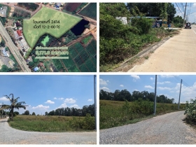 ขายที่ดินติดถนน 3 ด้าน 12-3-71 ไร่ ทำเลทอง ศุขประยูร - พนัสนิคม