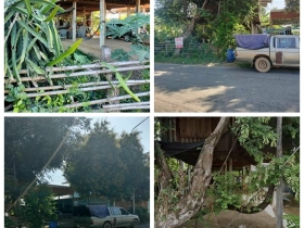 ขายด่วน! (บ้าน 2ชั้น/ใต้ถุนโล่ง) พร้อมที่ดิน ติดถนนดำ อำเภอลาดยาว