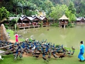 ทัวร์รถไฟฟ้า เวียงจันทร์ สิบสองปันนา หลวงพระบาง 5 วัน 4 คืน เริ่