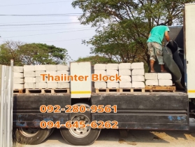 บล็อกตัวหนอน บล็อกแปดเหลี่ยม บล็อกปูหญ้า แผ่นทางเท้า