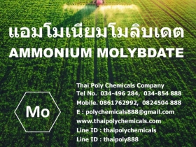 แอมโมเนียมโมลิบเดต, Ammonium Molybdate, ผงจุลธาตุโมลิบดินัม, แอมโ