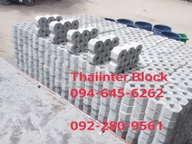 โรงงานบล็อกตัวหนอน ราคาถูก จัดส่งรวดเร็ว ตรงเวลา ติดต่อ0946456262