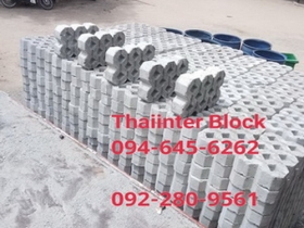 บล็อกตัวหนอน บล็อกแปดเหลี่ยม บล็อกปูหญ้า แผ่นทางเท้า