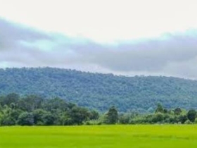 ขายที่ดินวิวเขาสวยที่สุด อำเภอแก่งคอย สระบุรี